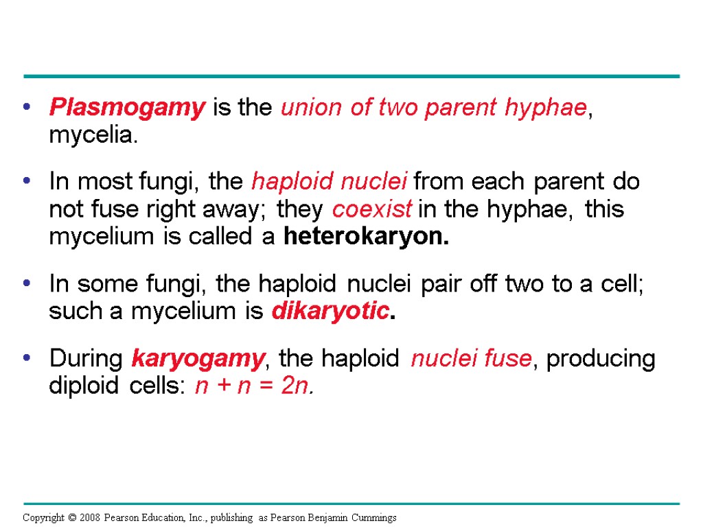 Plasmogamy is the union of two parent hyphae, mycelia. In most fungi, the haploid